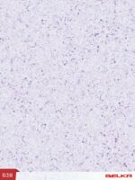 Belka B38 - Lilac Wallpaper Natural Stylish Wall Covering